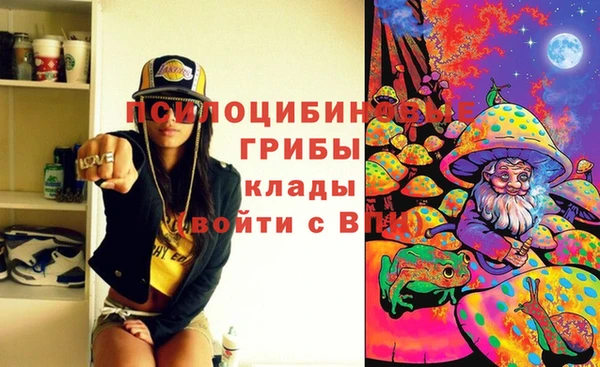 винт Алзамай
