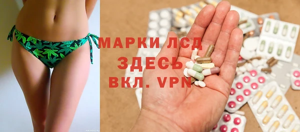 индика Абинск