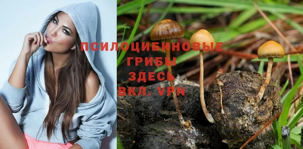 винт Алзамай