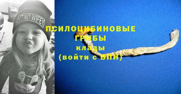 бошки Алексеевка