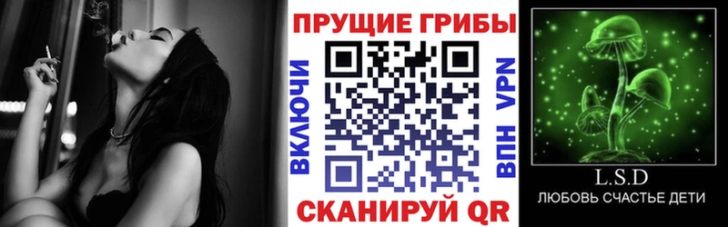 Псилоцибиновые грибы мухоморы Саранск